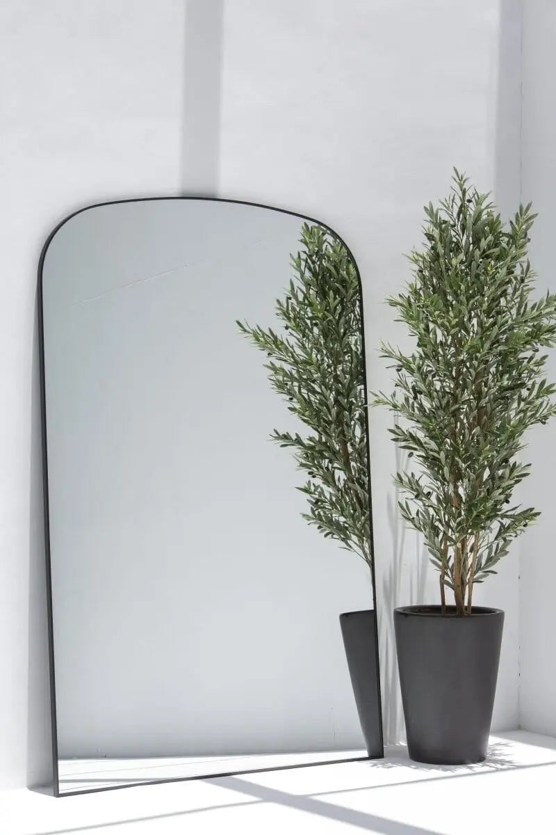 Grand Miroir XXL avec Forme Courbée